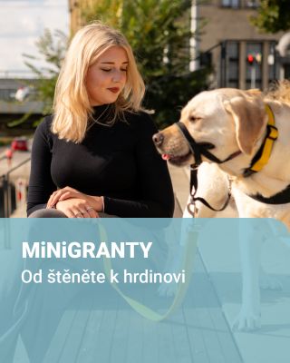 1️⃣5️⃣5️⃣příběhů přinesly letošní #MiNiGRANTY. Tohle je příběh psích hrdinů. Asistenční psi jsou pro lidi s hendikepem...